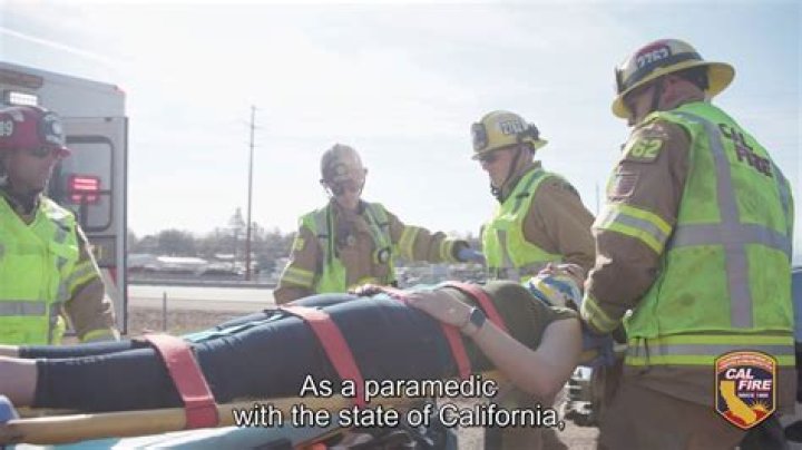 Illinois: David Pollack, a Firefighter, and Paramedic, Passed Away in A Deadly Crash