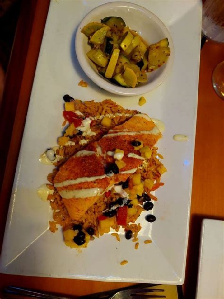 RJ Gators of Bradenton | Macaroni KID Bradenton