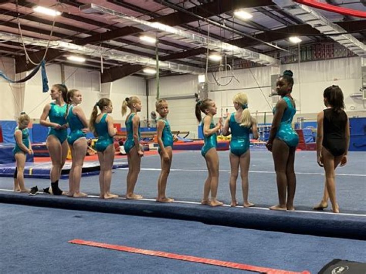 South Florida Gymnastics | Macaroni KID Bradenton