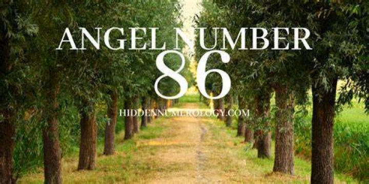 The Secret And Hidden Meaning Of 86 Angel Number